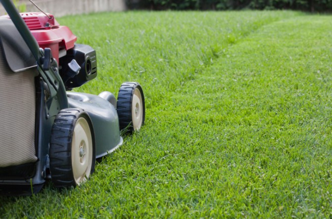 Entretien de la pelouse : le faire soi-même ou le confier à un professionnel